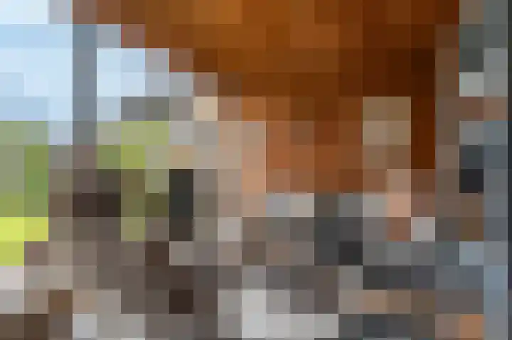 Slik 2 Delfzijl thumbnail 25