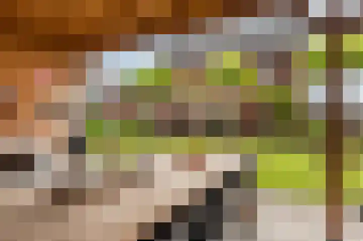 Slik 2 Delfzijl thumbnail 26