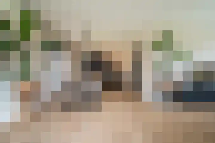 Slik 2 Delfzijl thumbnail 33
