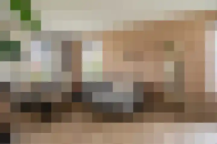 Slik 2 Delfzijl thumbnail 35