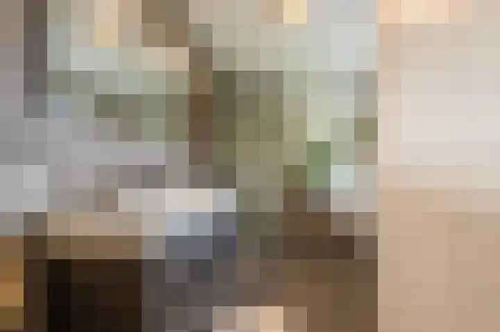 Slik 2 Delfzijl thumbnail 5