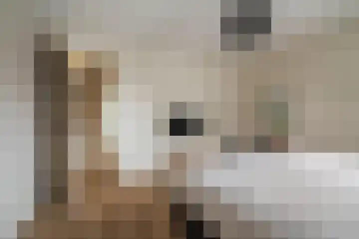 Slik 2 Delfzijl thumbnail 52