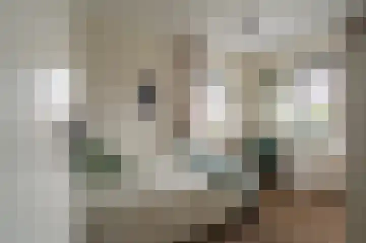 Slik 2 Delfzijl thumbnail 59