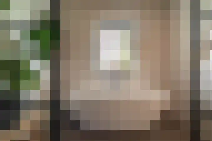 Slik 2 Delfzijl thumbnail 67