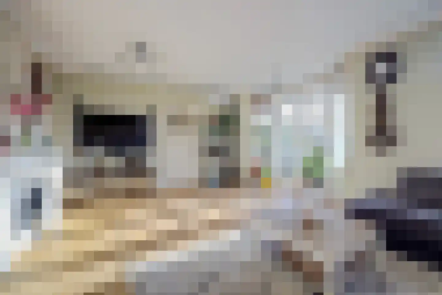 Slikdijk 16 Ooltgensplaat thumbnail 20