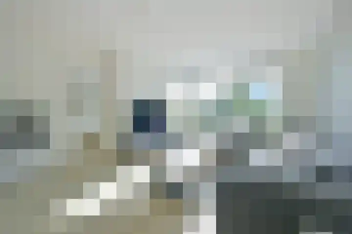 Slikhaak 21 Nieuwkoop thumbnail 12