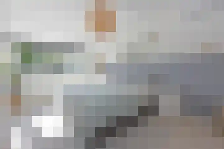 Slikhaak 21 Nieuwkoop thumbnail 16