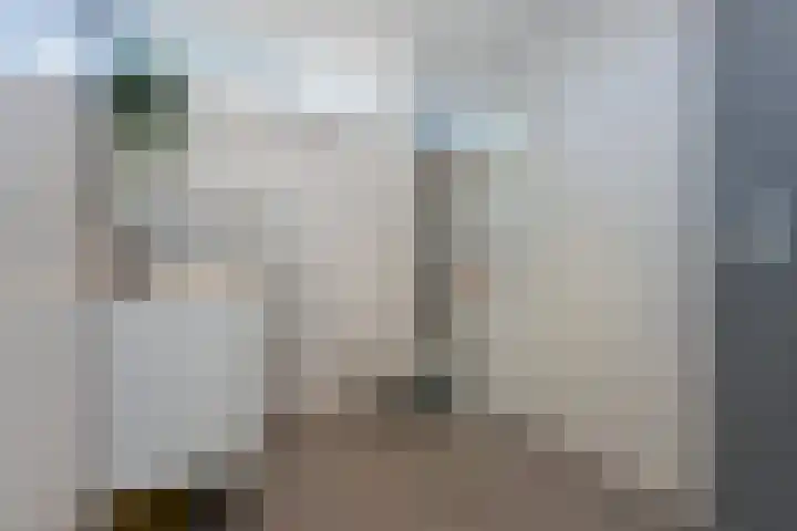 Slikhaak 21 Nieuwkoop thumbnail 18