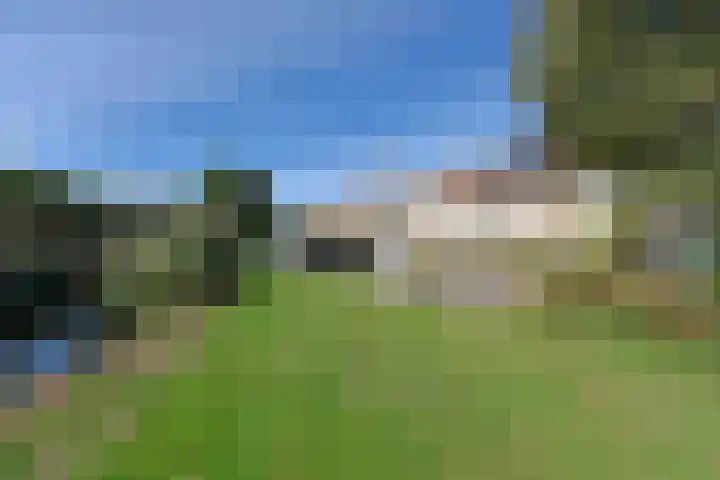 Slikhaak 21 Nieuwkoop thumbnail 30