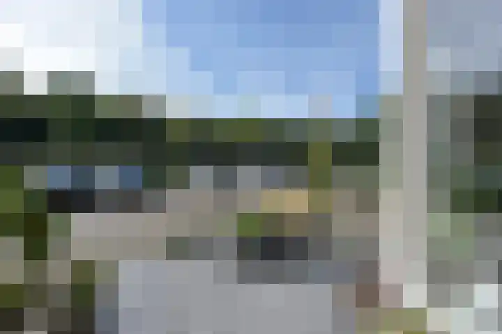 Slikhaak 21 Nieuwkoop thumbnail 31