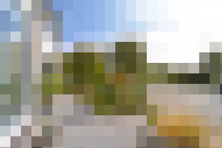 Slikhaak 21 Nieuwkoop thumbnail 32