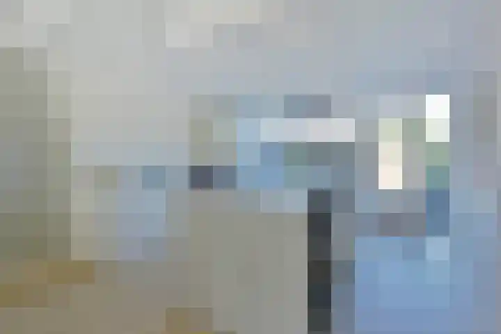 Slikhaak 21 Nieuwkoop thumbnail 4