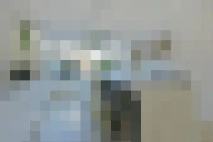 Slikhaak 21 Nieuwkoop thumbnail 6