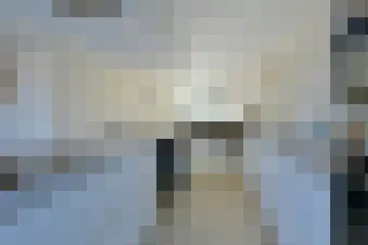 Slikhaak 21 Nieuwkoop thumbnail 8