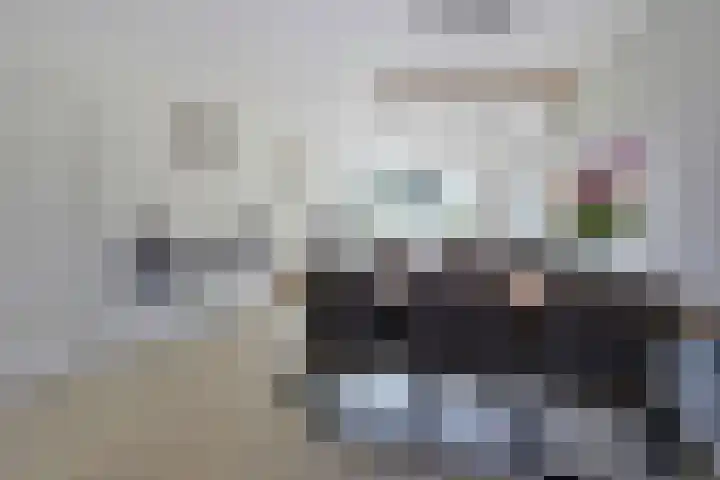 Slikhaak 21 Nieuwkoop thumbnail 9