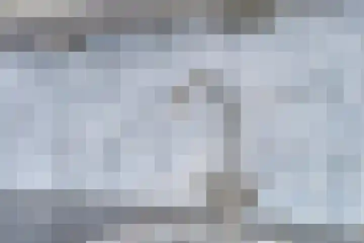 Slikkenburg 1 Tholen thumbnail 20