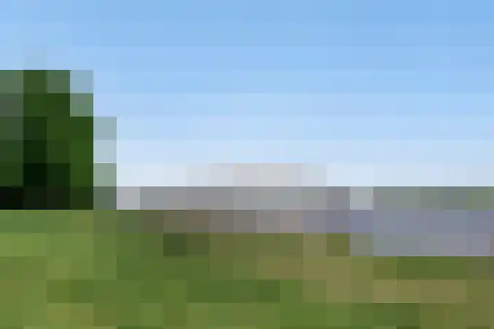 Slikkenburg 1 Tholen thumbnail 34