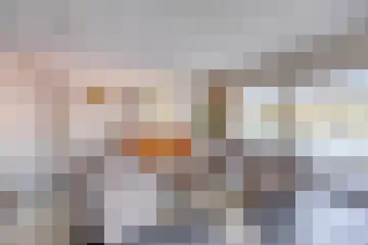 Slikkenburg 1 Tholen thumbnail 5