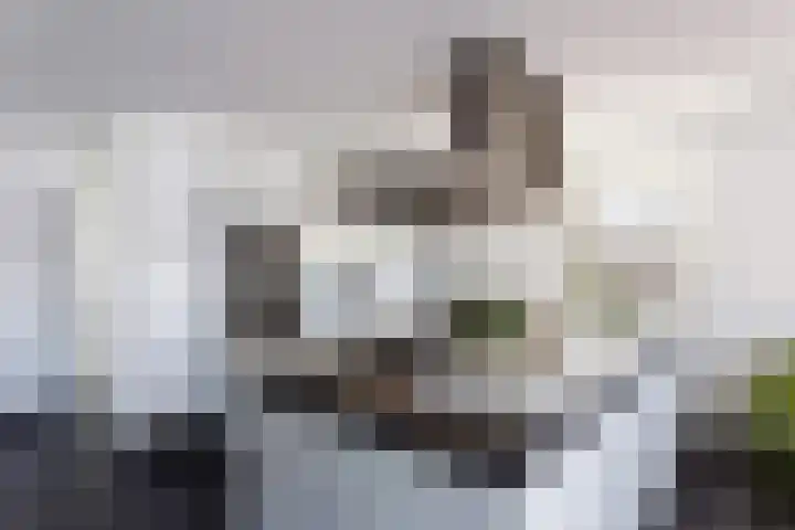 Slikkenburg 3 Tholen thumbnail 31