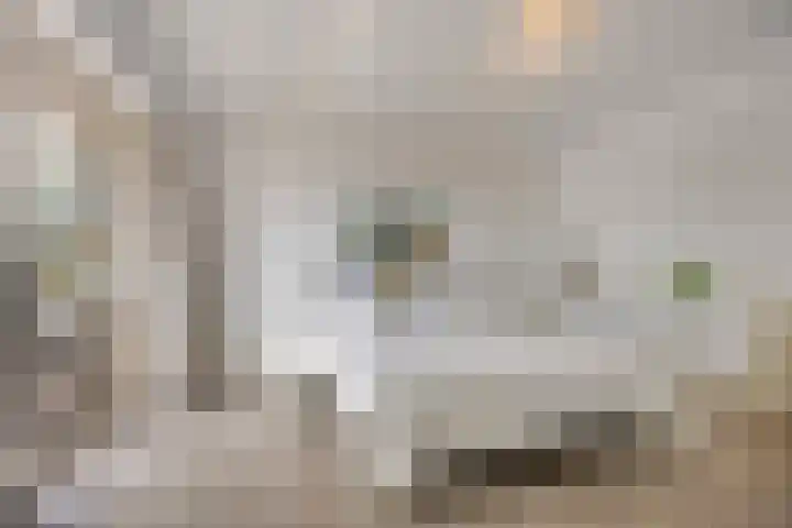 Slikkenburg 3 Tholen thumbnail 37
