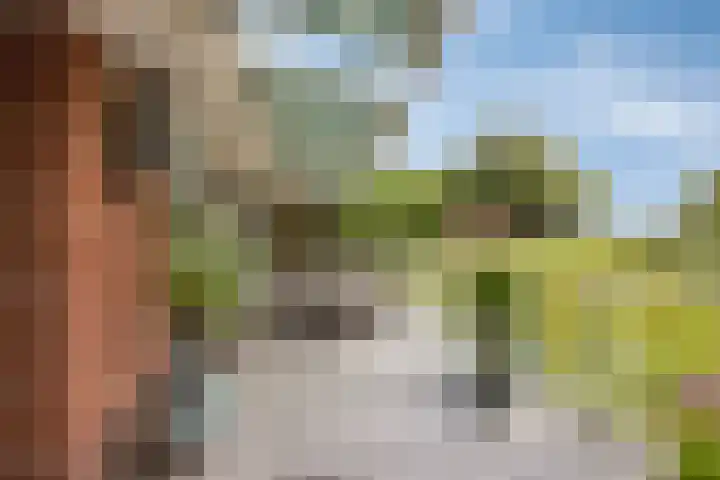 Slikkenburg 3 Tholen thumbnail 4