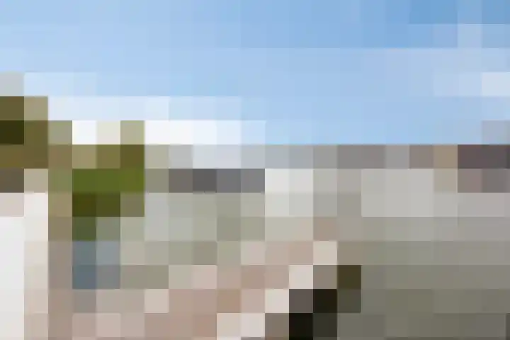 Slikkenburg 3 Tholen thumbnail 49