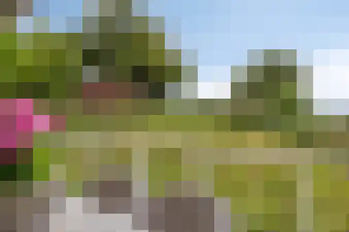 Slikkenburg 3 Tholen thumbnail 50