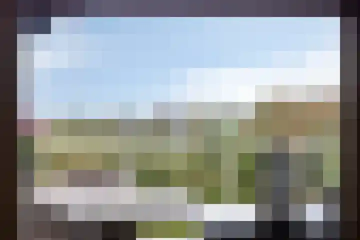 Slikkenburg 3 Tholen thumbnail 51