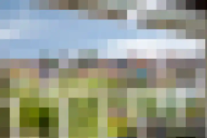 Slikkenburg 3 Tholen thumbnail 53