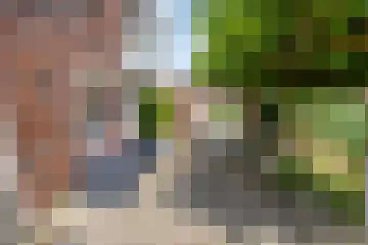 Slikkenburg 3 Tholen thumbnail 58