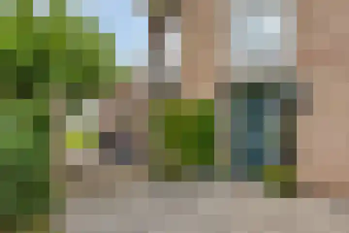 Slikkenburg 3 Tholen thumbnail 59