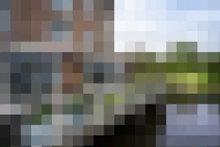 Slikkenburg 3 Tholen thumbnail 62