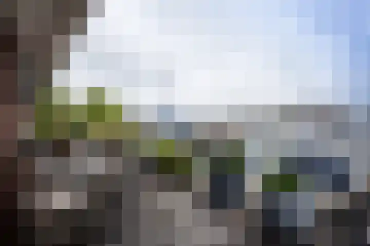Slikkenburg 3 Tholen thumbnail 64