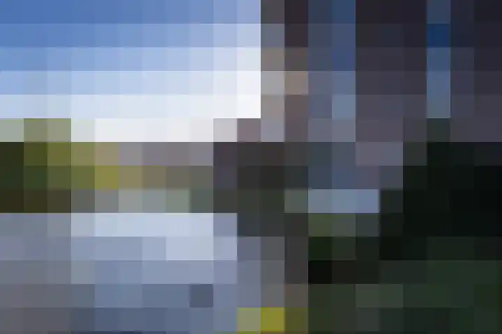 Slikkenburg 3 Tholen thumbnail 65