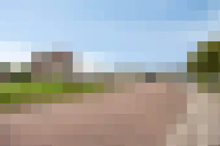 Slikkenburg 3 Tholen thumbnail 66