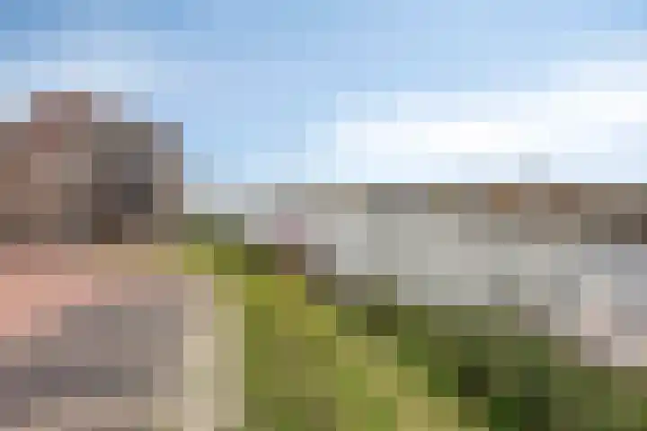 Slikkenburg 3 Tholen thumbnail 69