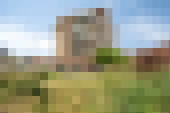 Slikkenburg 3 Tholen thumbnail 71
