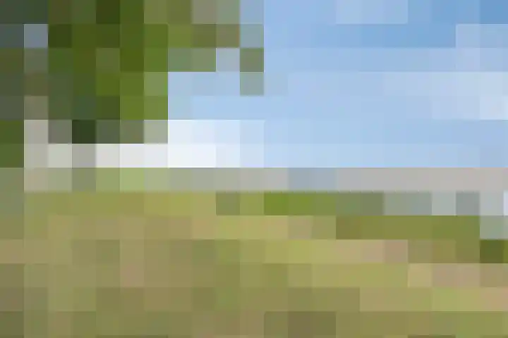 Slikkenburg 3 Tholen thumbnail 73