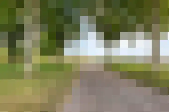 Slikkenburg 3 Tholen thumbnail 75