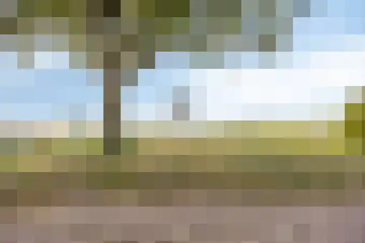 Slikkenburg 3 Tholen thumbnail 76