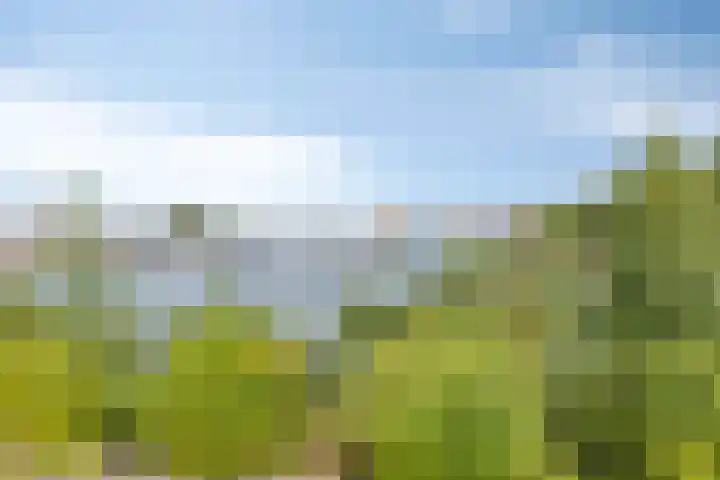Slikkenburg 3 Tholen thumbnail 78