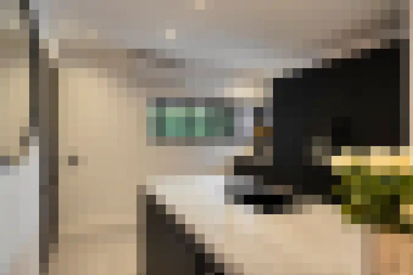 Slikkenburghof 10 Tilburg thumbnail 20