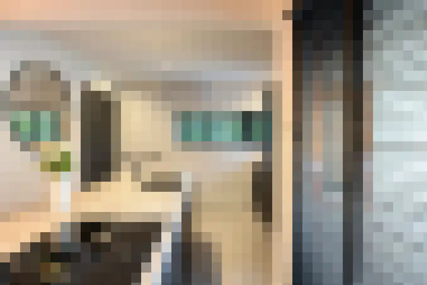 Slikkenburghof 10 Tilburg thumbnail 23