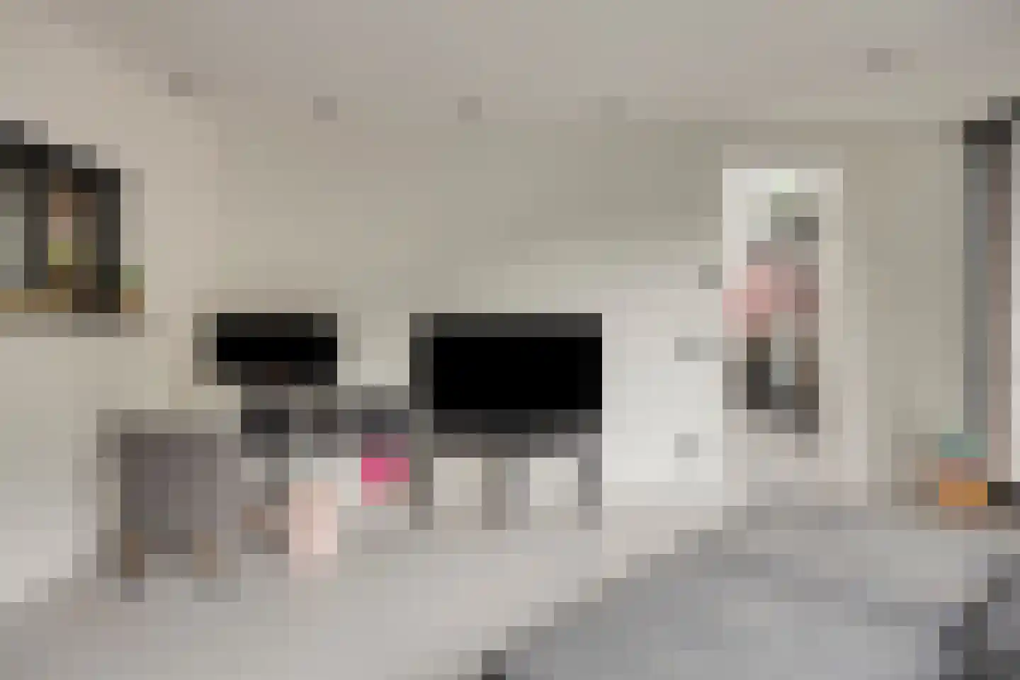 Slikkenburghof 10 Tilburg thumbnail 24