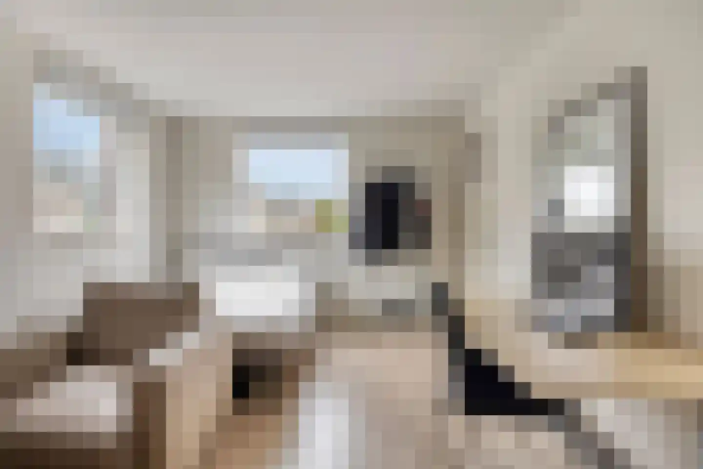 Slikkenburghof 10 Tilburg thumbnail 37