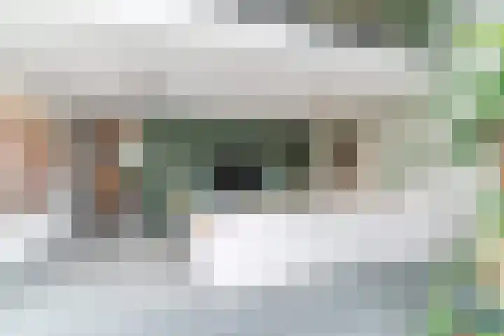 Slikkenburghof 12 Tilburg thumbnail 16