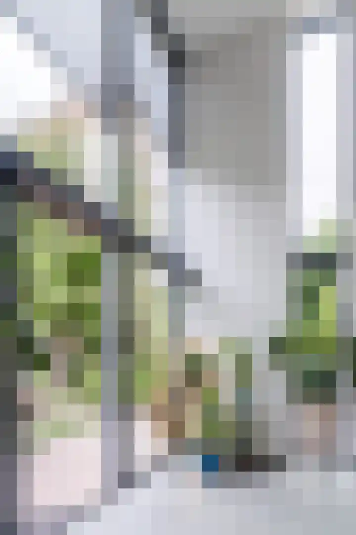 Slikkenburghof 12 Tilburg thumbnail 17