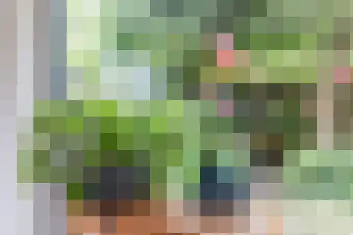 Slikkenburghof 12 Tilburg thumbnail 24