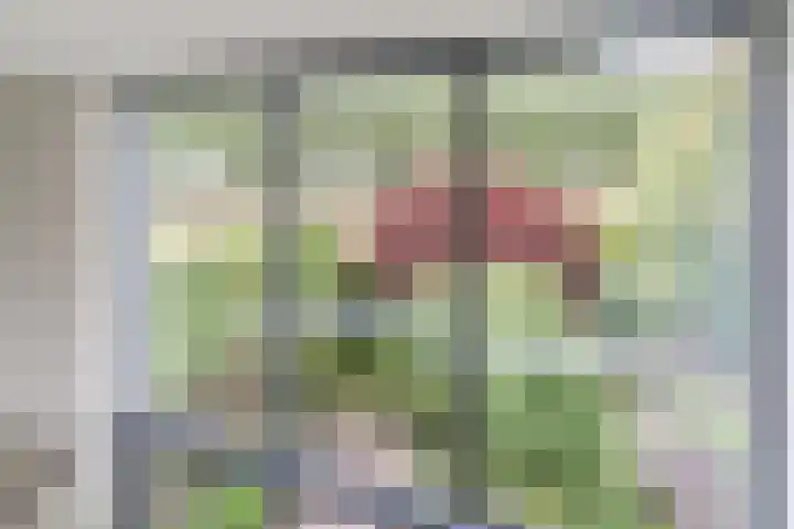 Slikkenburghof 12 Tilburg thumbnail 32