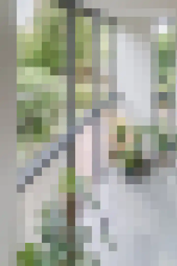 Slikkenburghof 12 Tilburg thumbnail 33